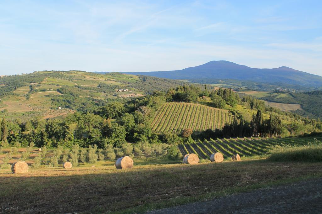 Agriturismo Il Poderuccio Castiglione d'Orcia Exterior photo